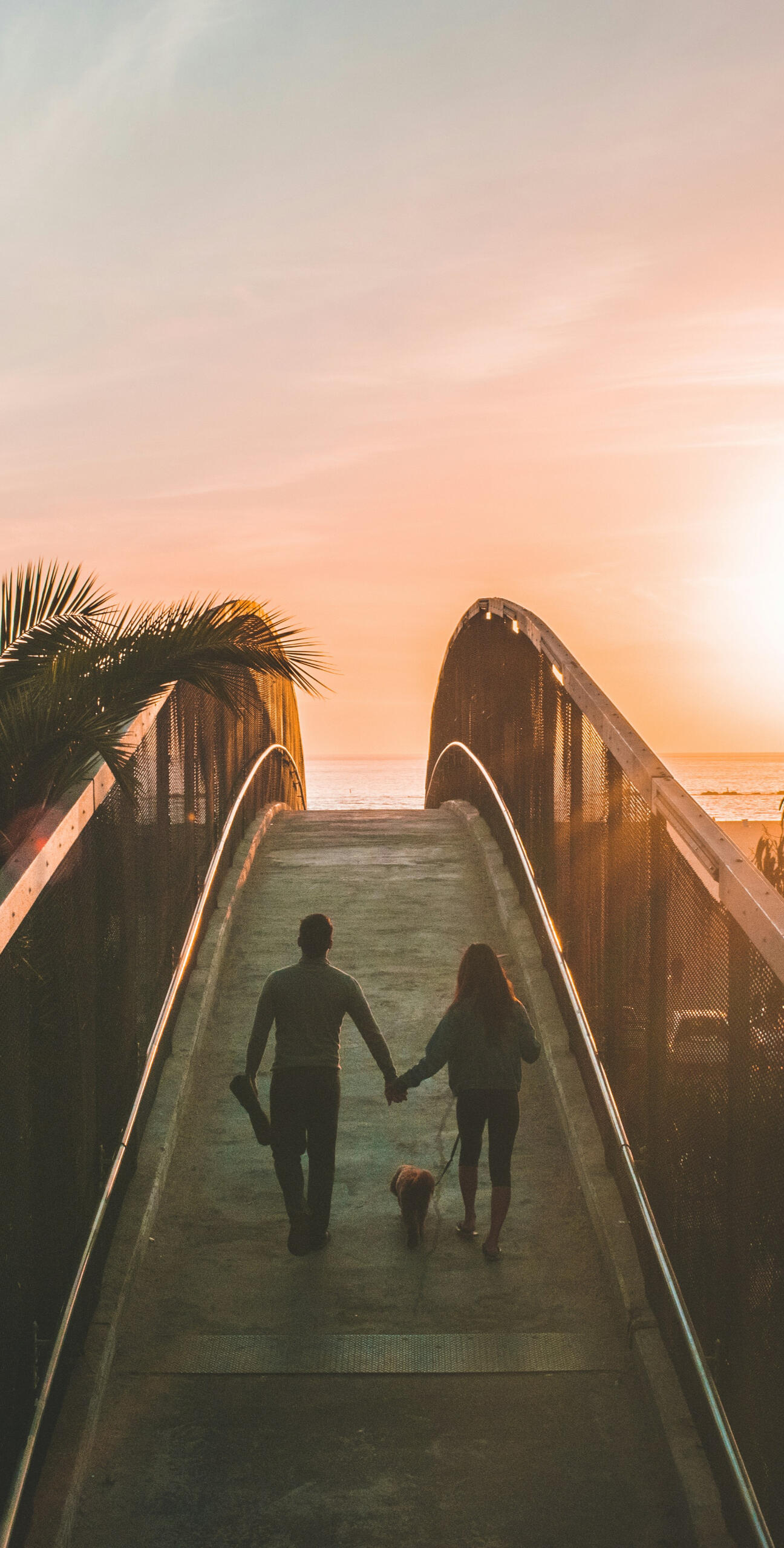 Couple walking hand in hand at sunset with dog, representing relationship connection and progress through couples therapy in Murfreesboro, TN.